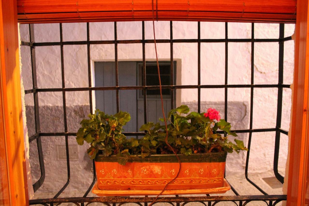 منزل الضيف Serón  في La Casa De La Acequia المظهر الخارجي الصورة