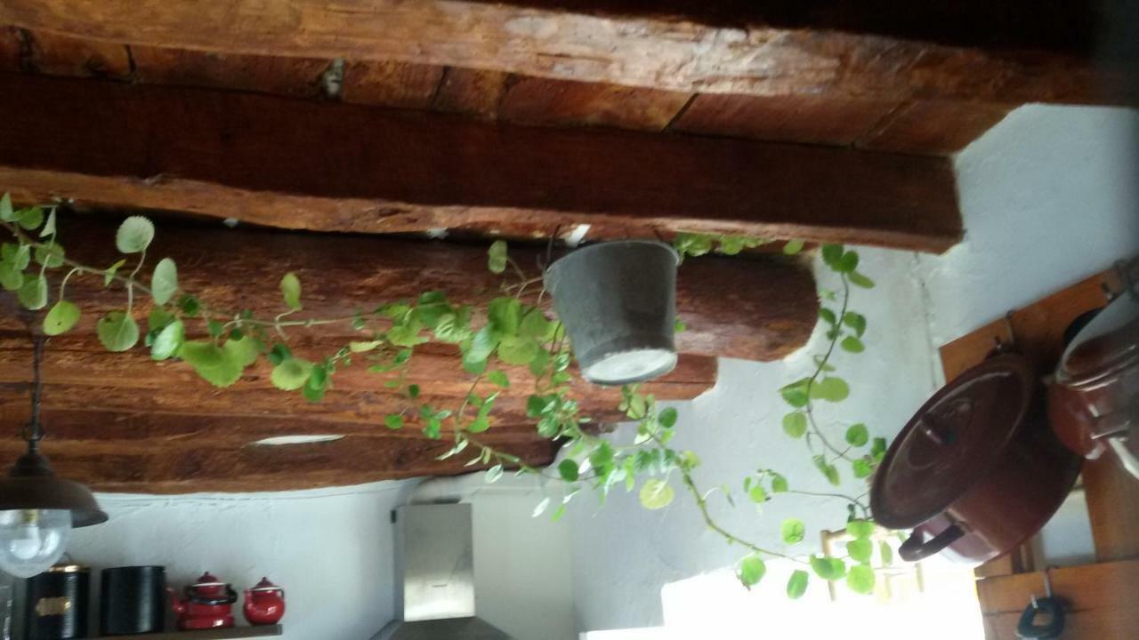منزل الضيف Serón  في La Casa De La Acequia المظهر الخارجي الصورة